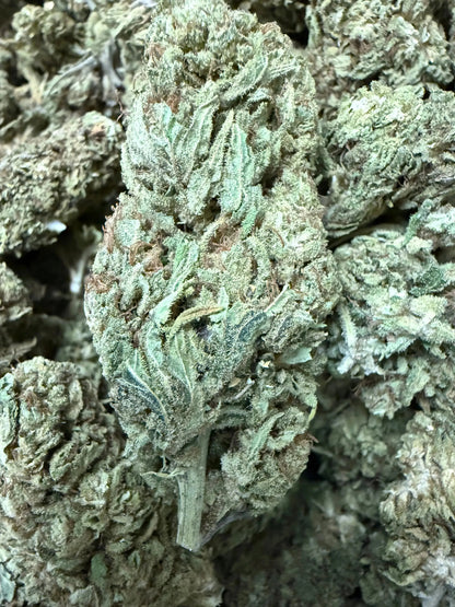 1 Pound CBD Flower $200 (BIGS) - Premium Hand Trimmed Frisco Labs