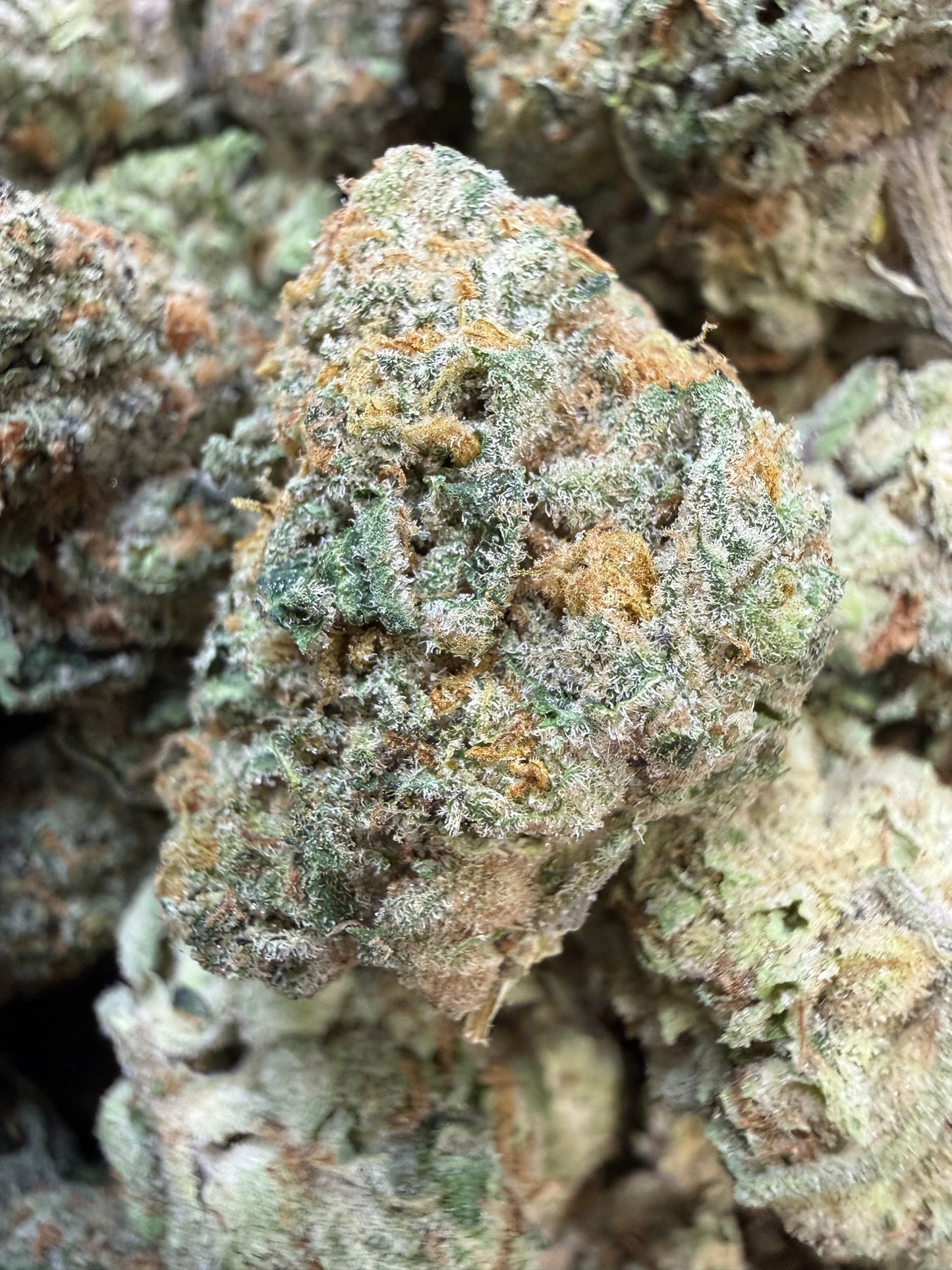 1 Pound - Secret Nectra THCA Flower