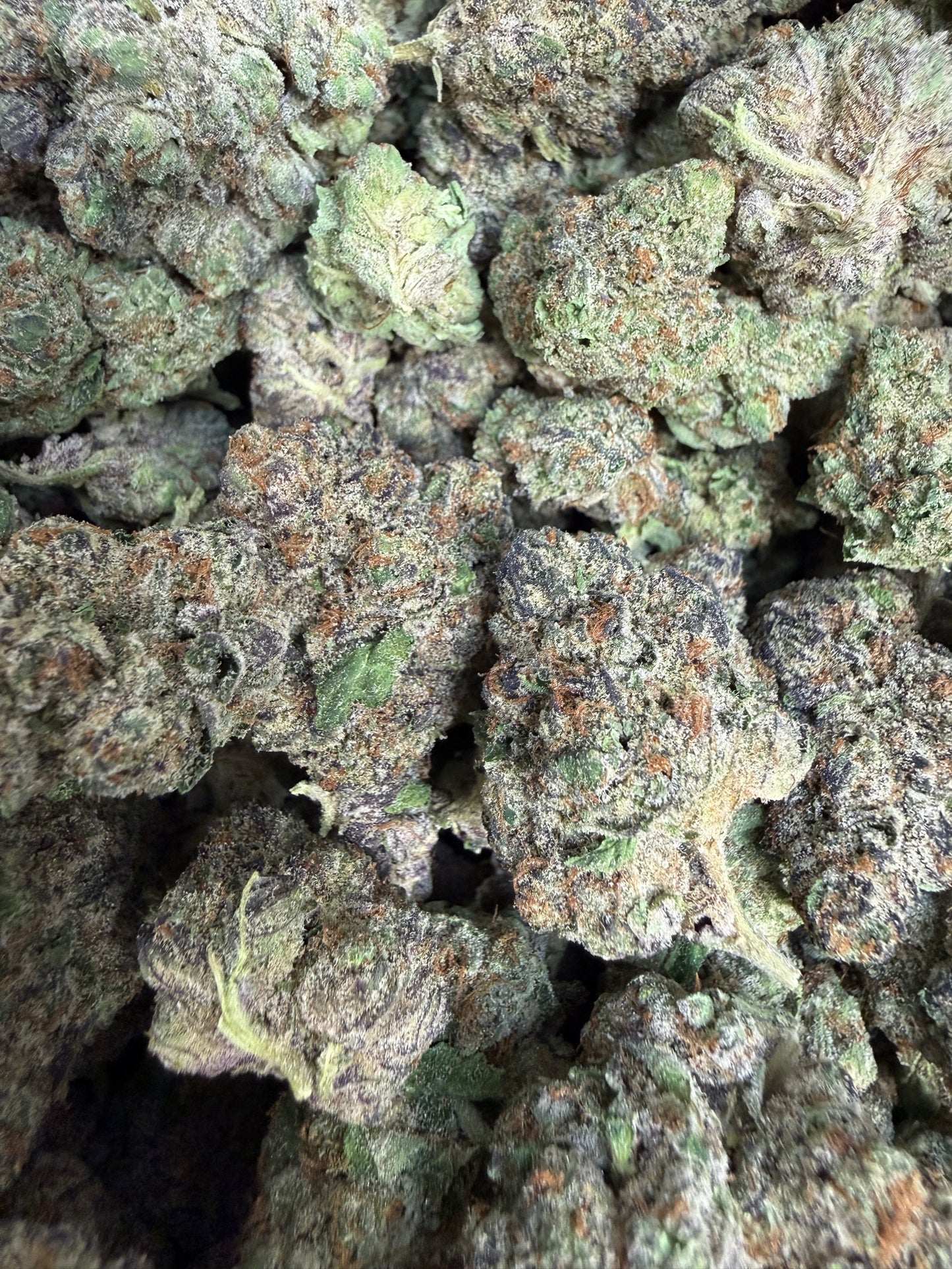 1 Pound - Purple Urkle THCA Flower