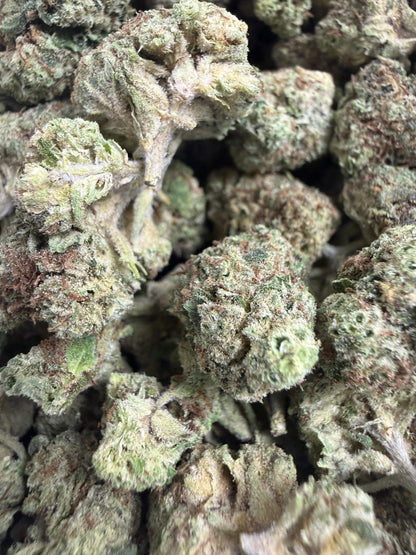 1 Pound - BISCOTTI PANCAKES THCA Flower (SMALL)