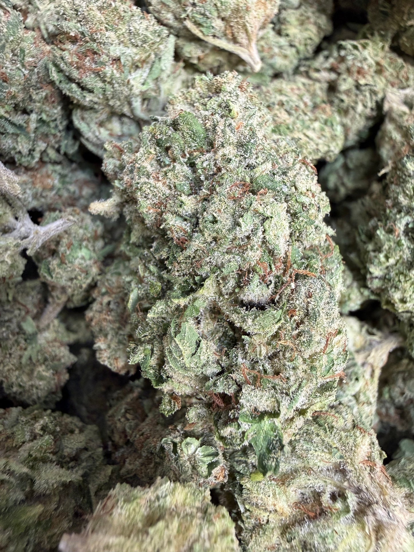 1 Pound - Afghan Lemon OG THCA Flower