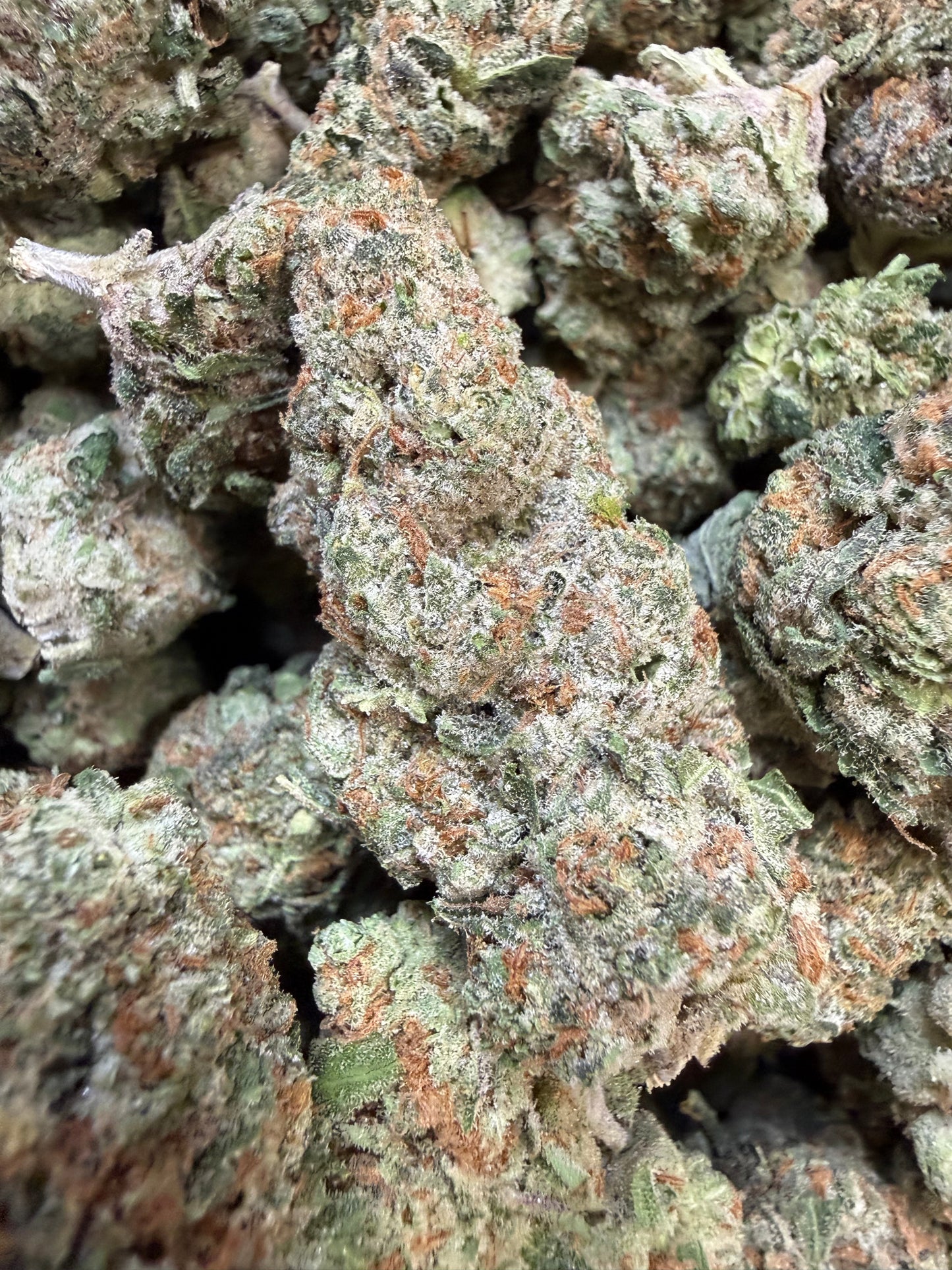 1 Pound - Secret Nectra THCA Flower