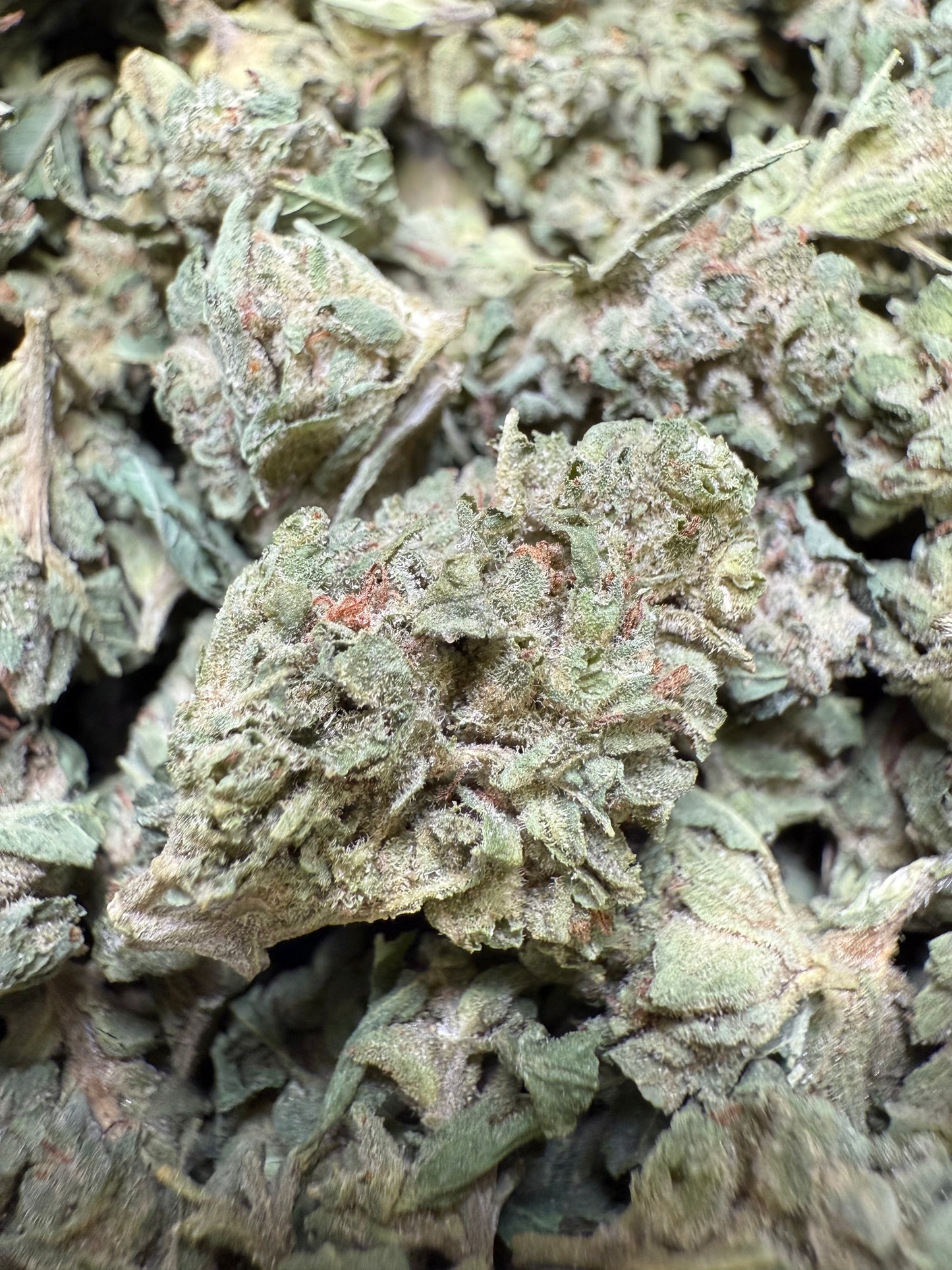 1 Pound - Lemon Tree THCA Strain (Small) Frisco Labs