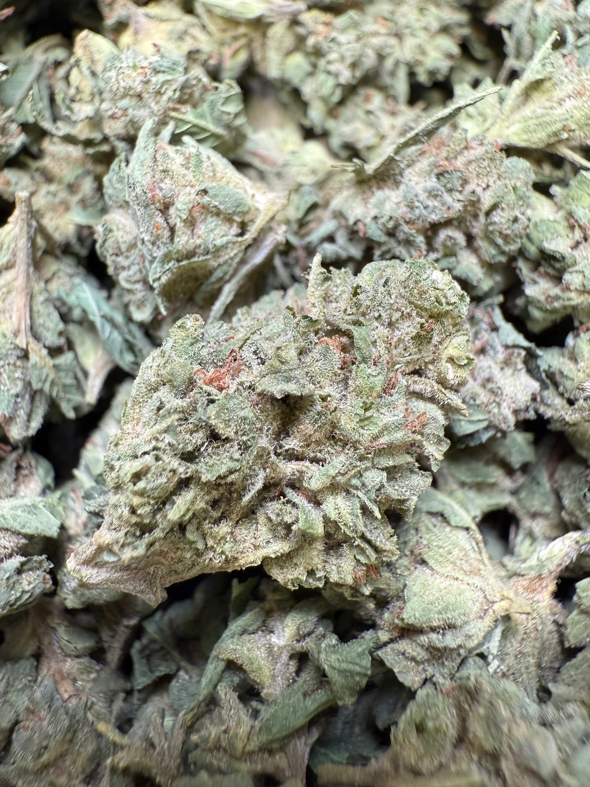 1 Pound - Lemon Tree THCA Strain (Small) Frisco Labs