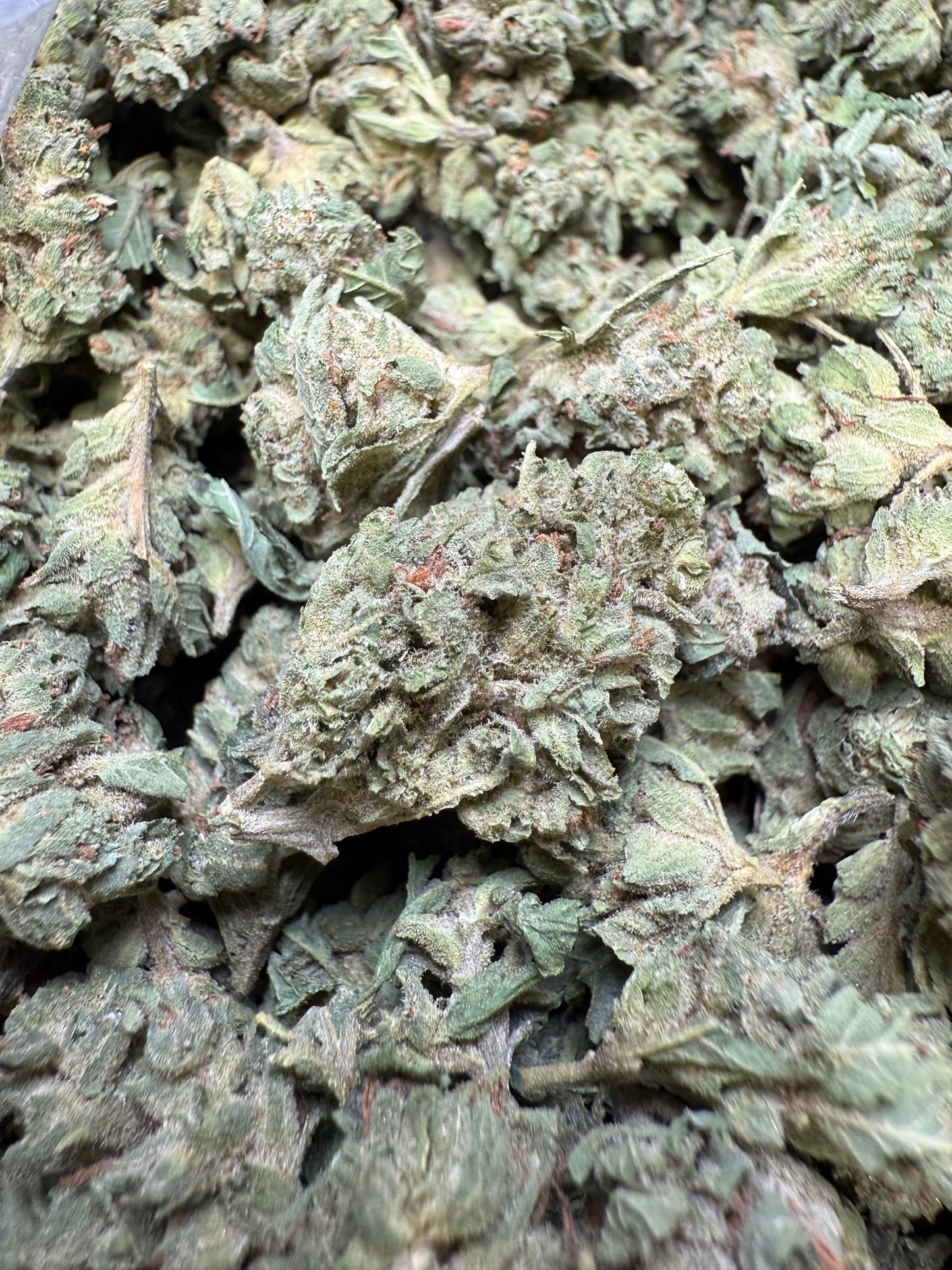 1 Pound - Lemon Tree THCA Strain (Small) Frisco Labs