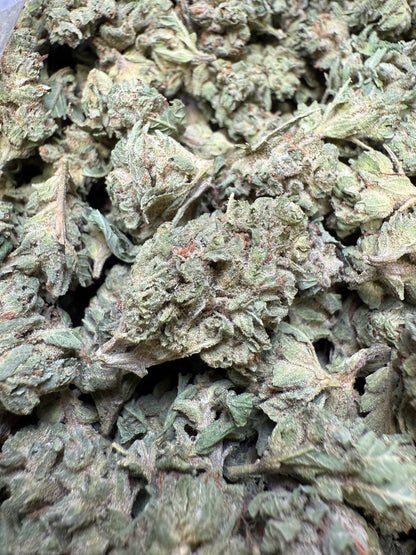 1 Pound - Lemon Tree THCA Strain (Small) Frisco Labs