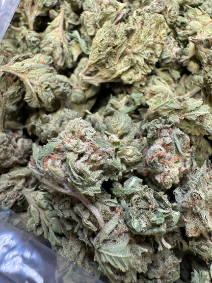 1 Pound - Lemon Tree THCA Strain (Small) Frisco Labs