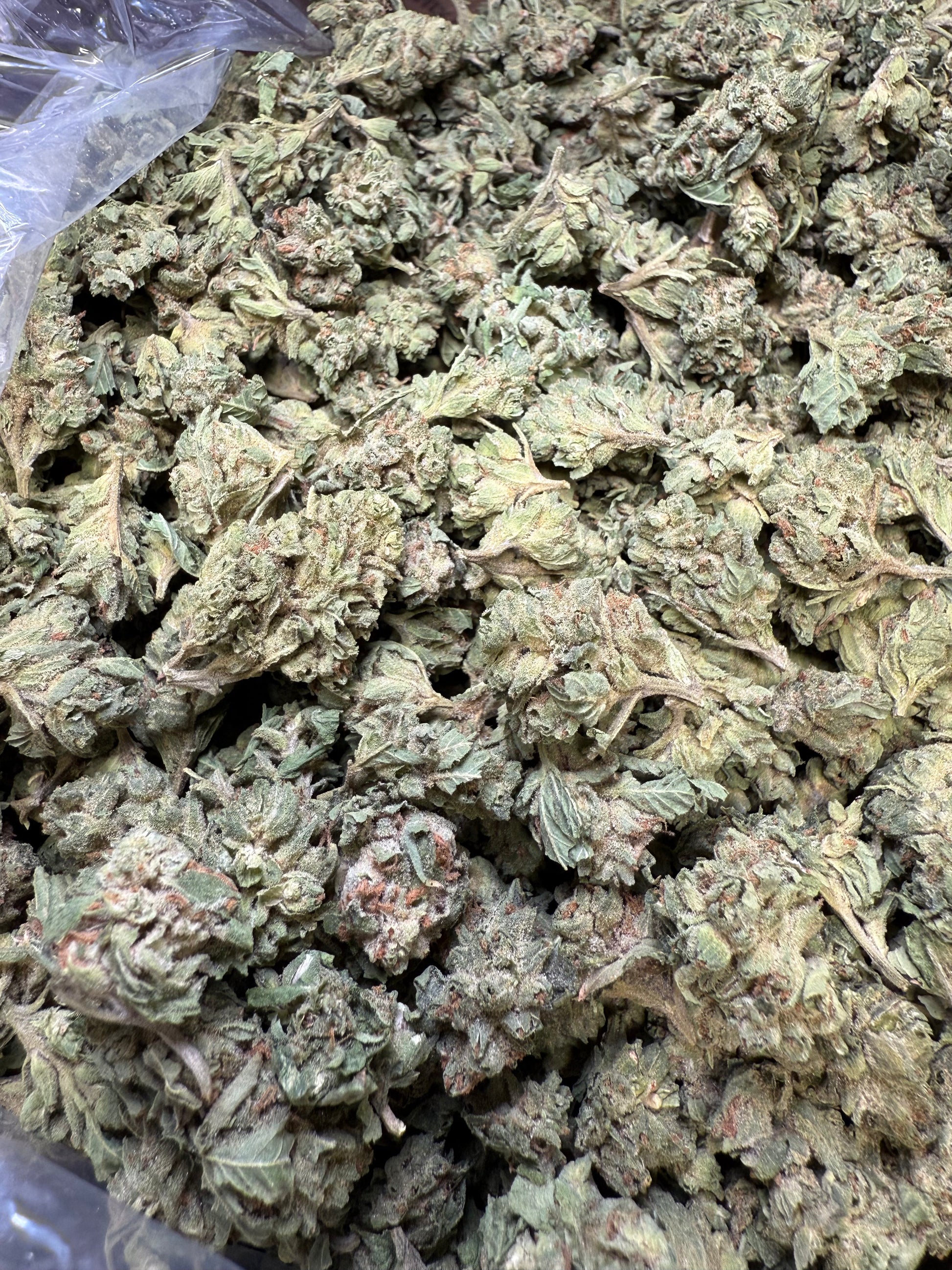 1 Pound - Lemon Tree THCA Strain (Small) Frisco Labs