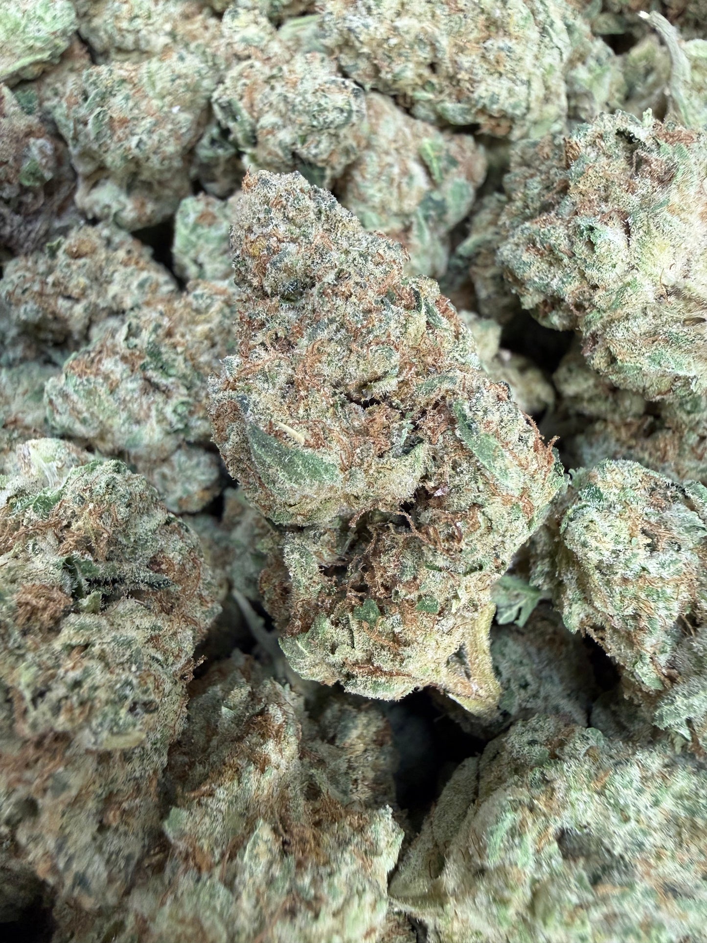 1 Pound - Disco Glitter THCA Flower