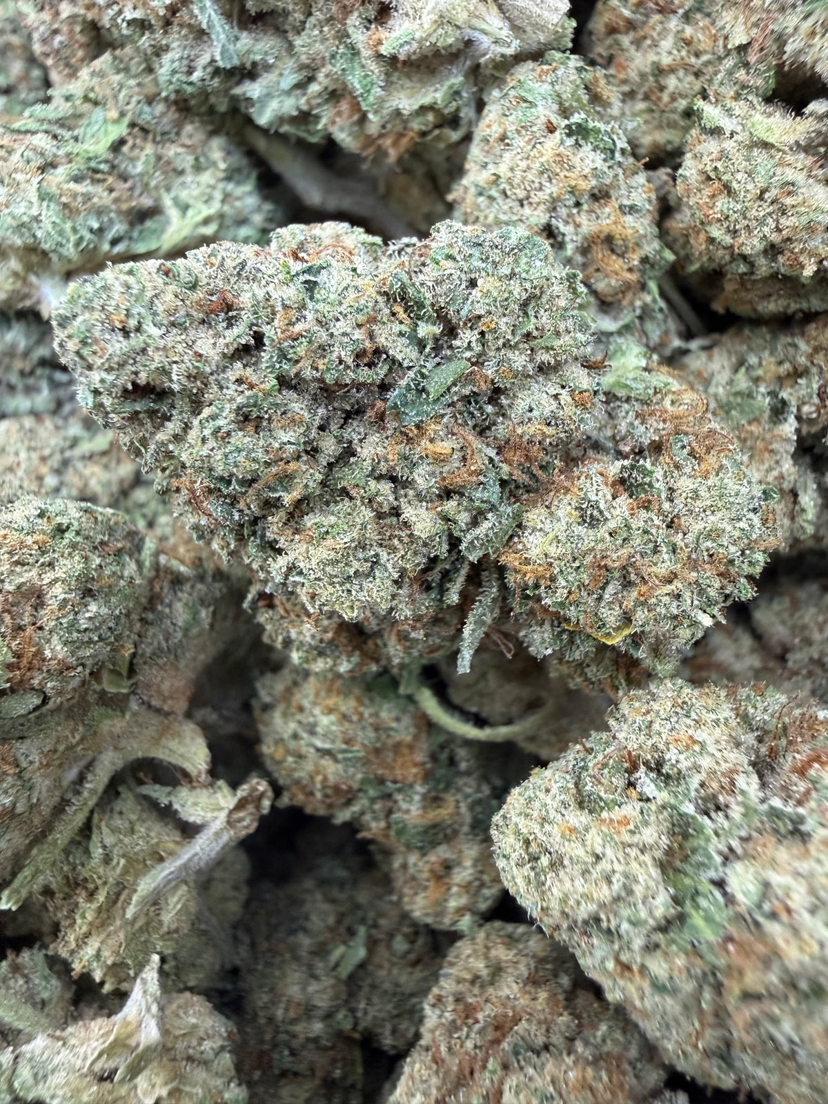 1 Pound - ILLEMONATI OG THCA Flower (BIG)