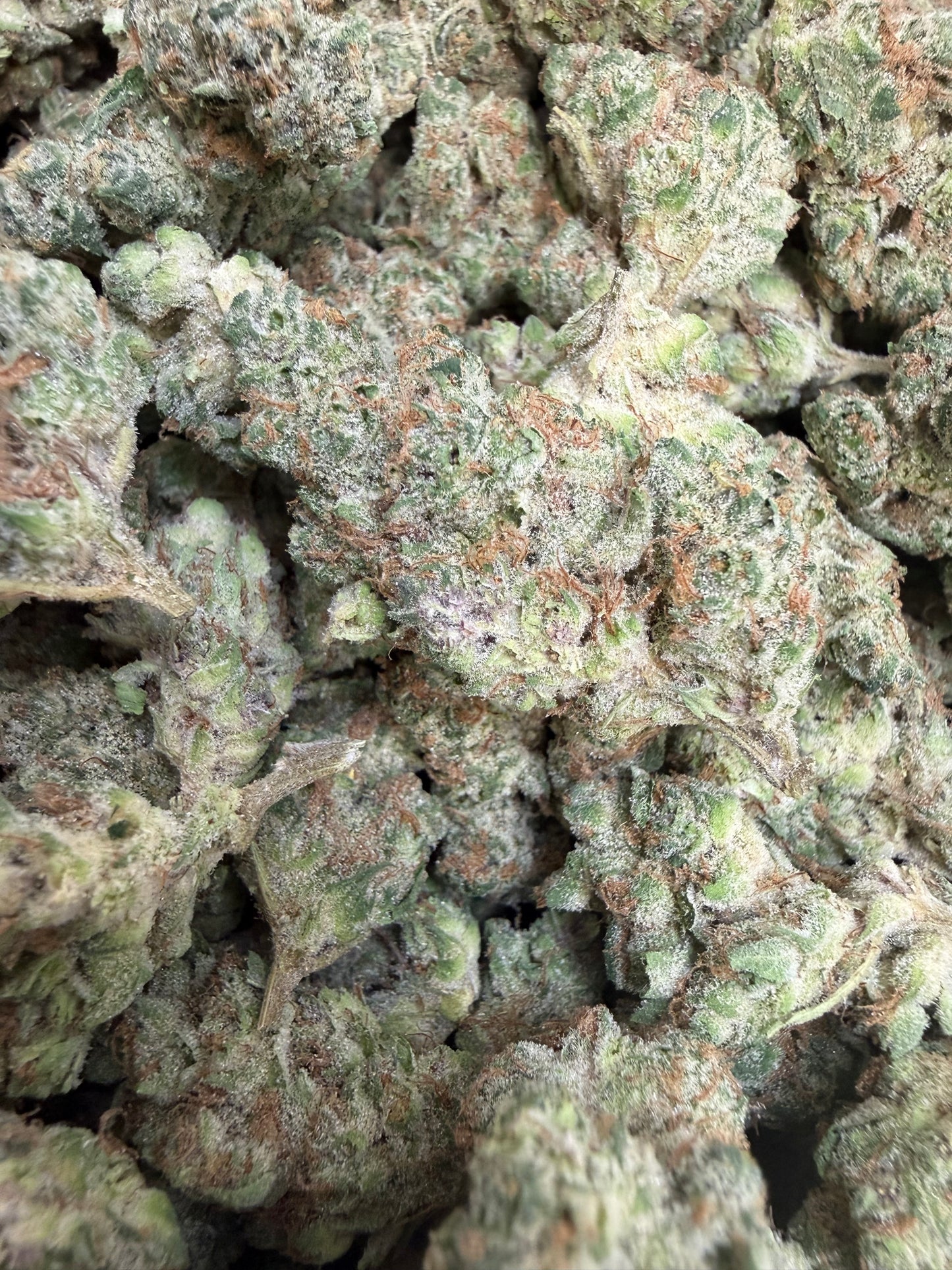 1 Pound - SuperBoof THCA Flower