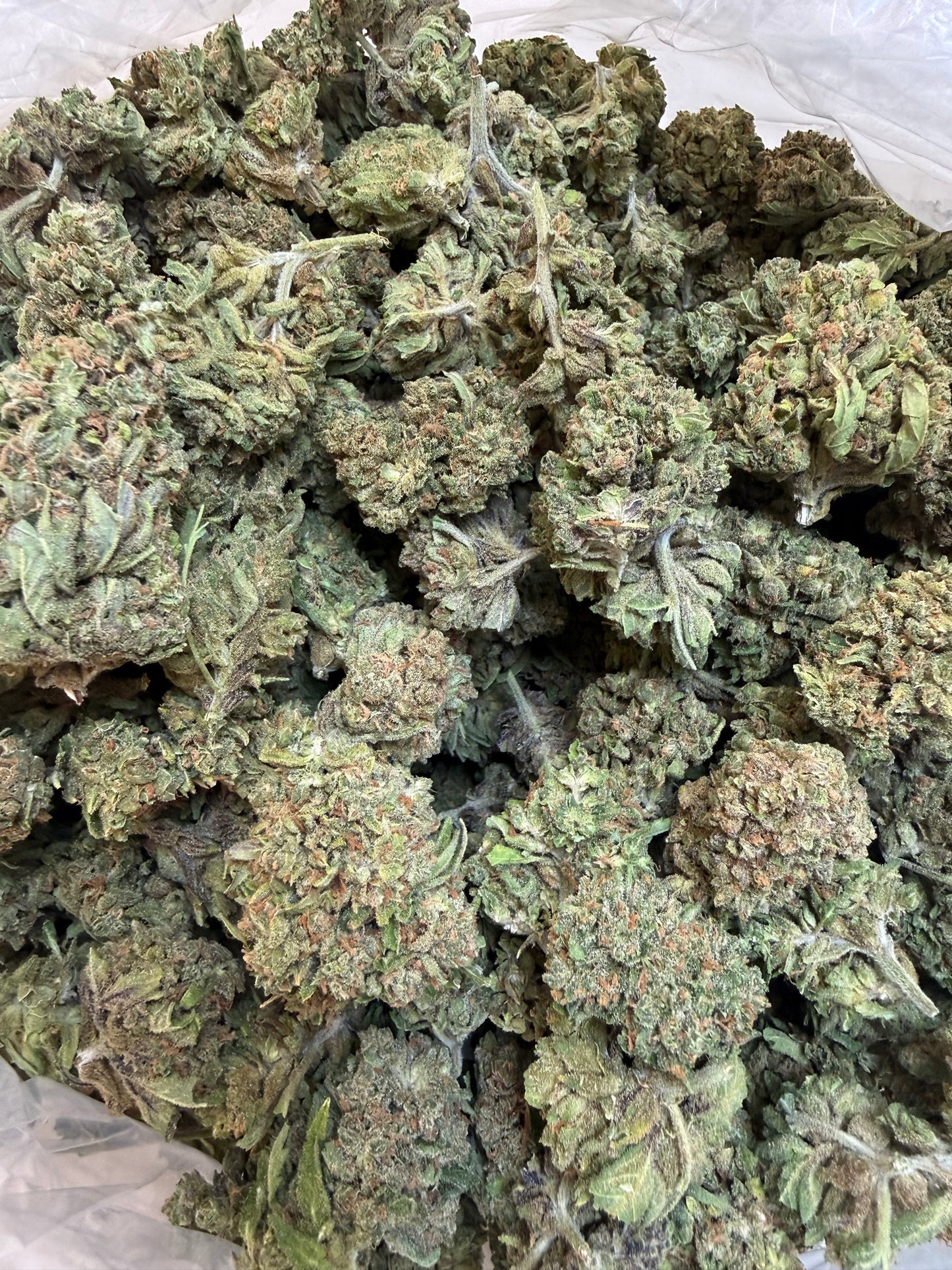 1 Pound - Gas Leak THCA Flower
