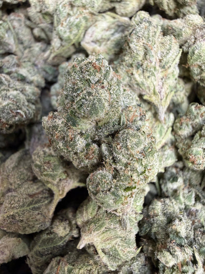 1 Pound - Scotty’s Cheddar THCA Flower