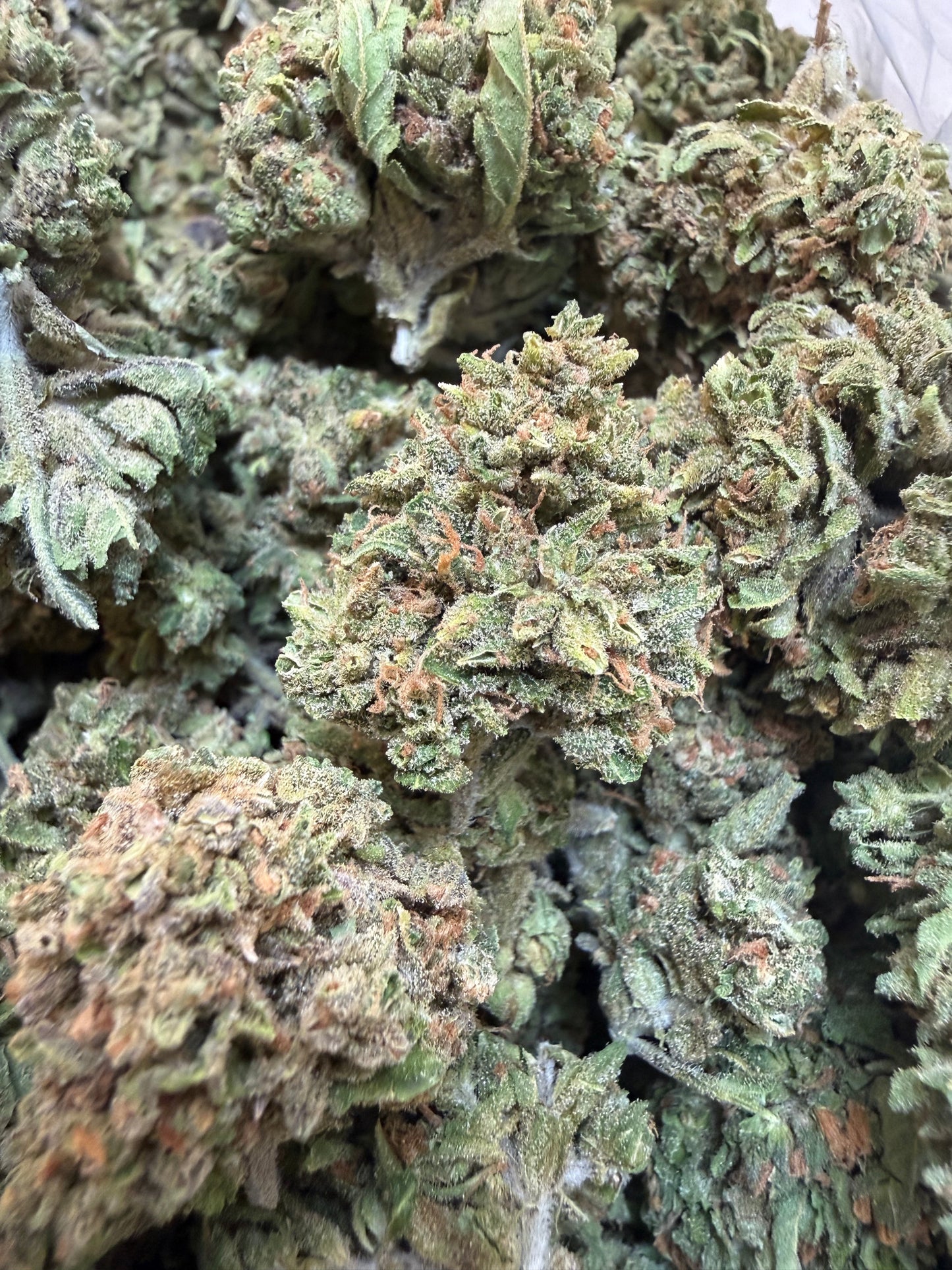 1 Pound - Gas Leak THCA Flower