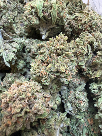 1 Pound - Gas Leak THCA Flower