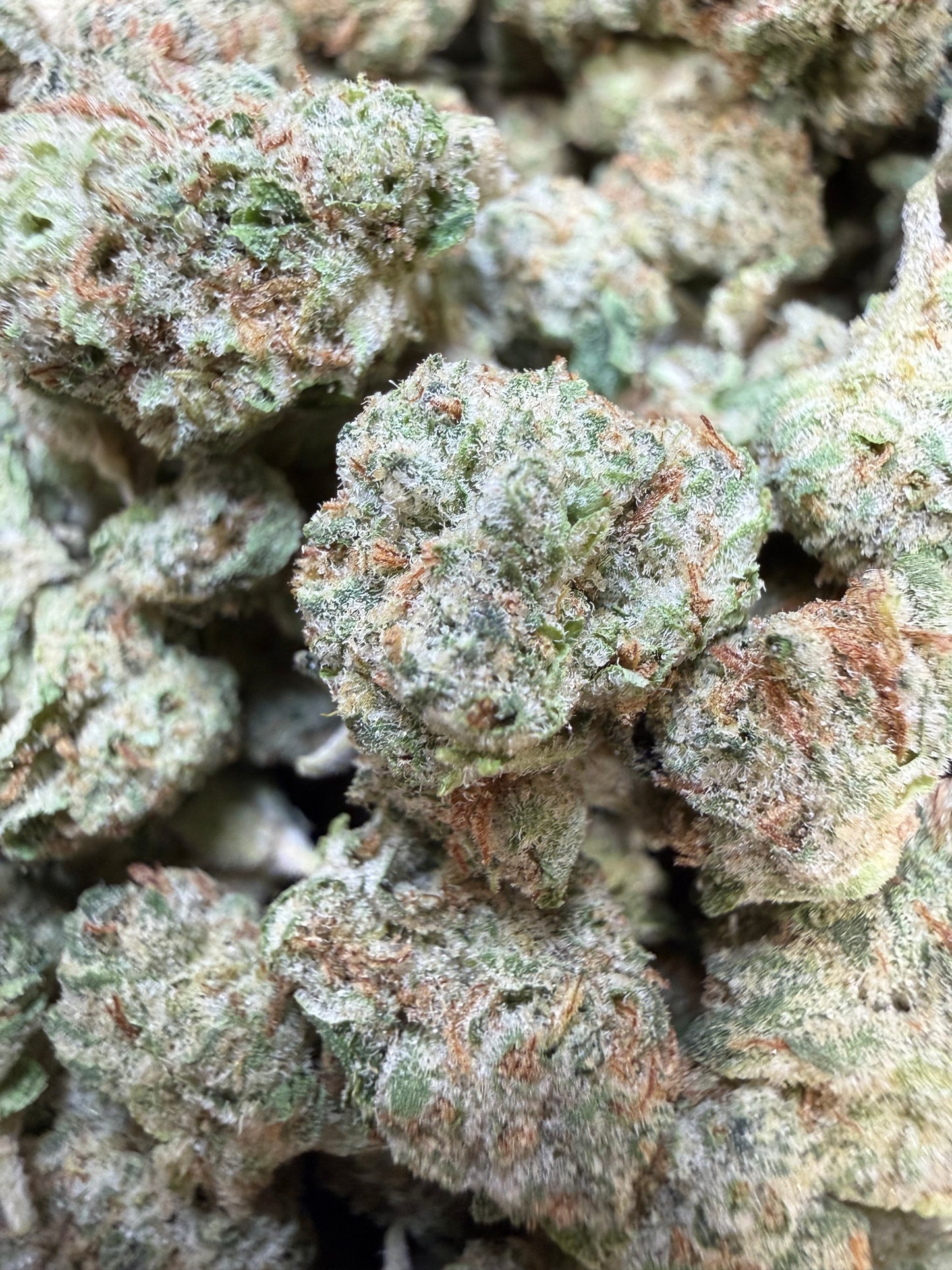 1 Pound - Moon Boots THCA Flower (Smalls)