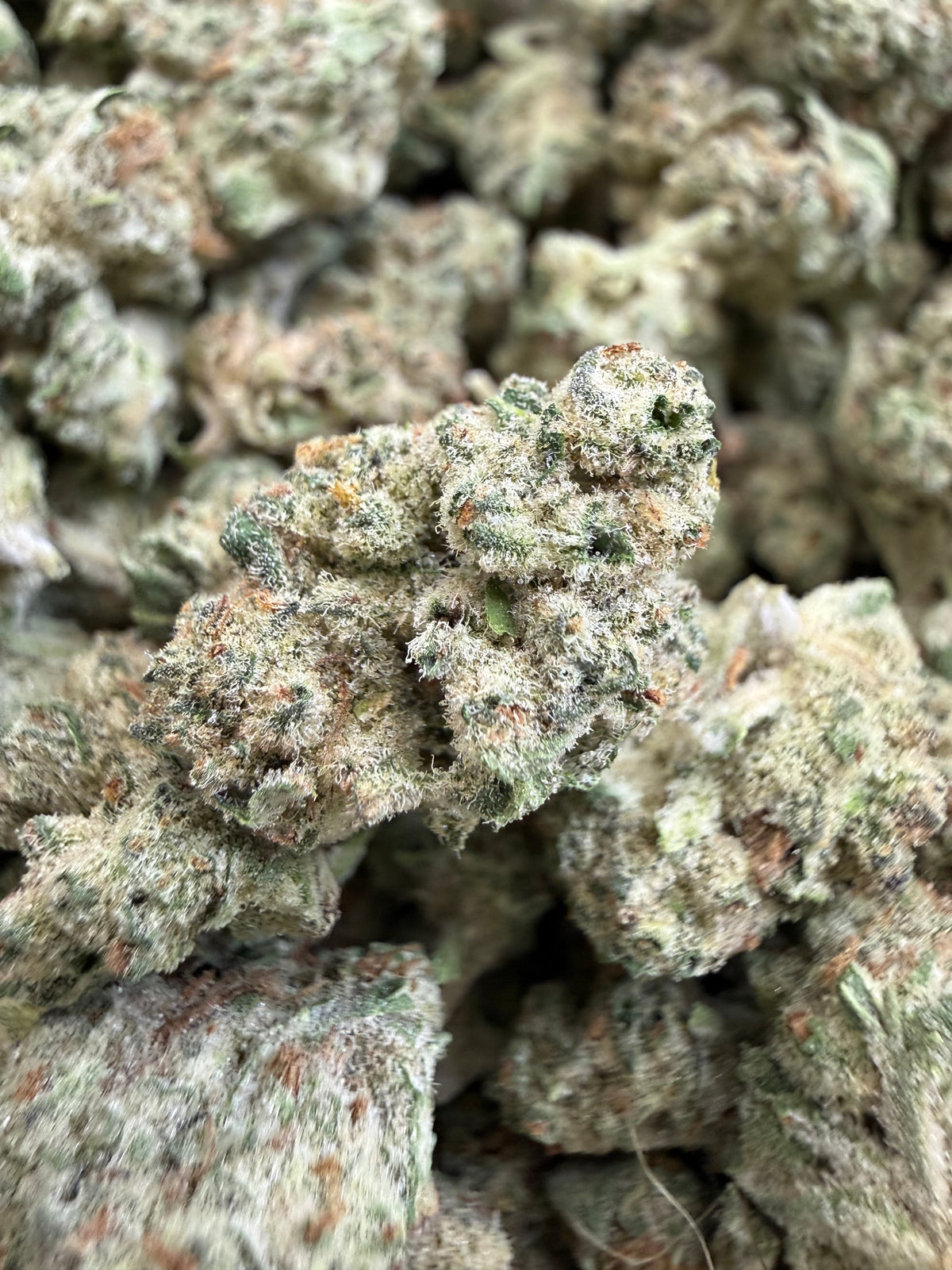 1 Pound - TERPEE SLURPEE THCA Flower (SMALL)