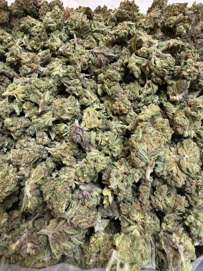 1 Pound - Sherbanger THCA Flower (Smalls)