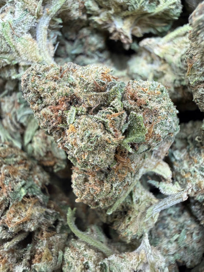 1 Pound - ILLEMONATI OG THCA Flower (BIG)