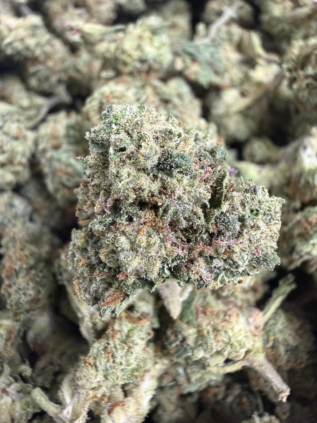 1 Pound - PAPAYA SMOOTHIE THCA Flower (SMALL)