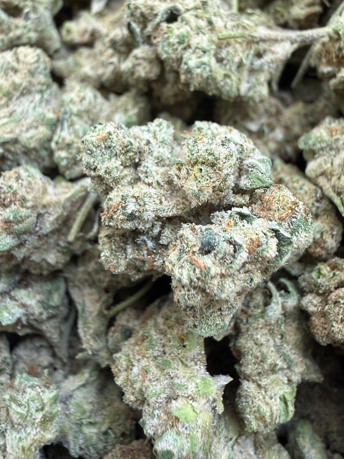 1 Pound - DOSI THCA Flower (SMALL)