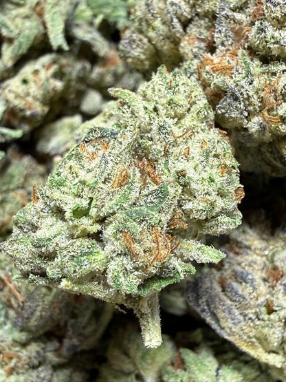1 Pound - PLATINUM COOKIES AND CREAM THCA Flower (SMALL)