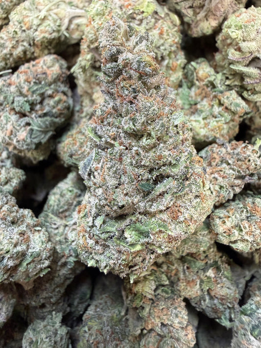 1 Pound - Secret Nectra THCA Flower