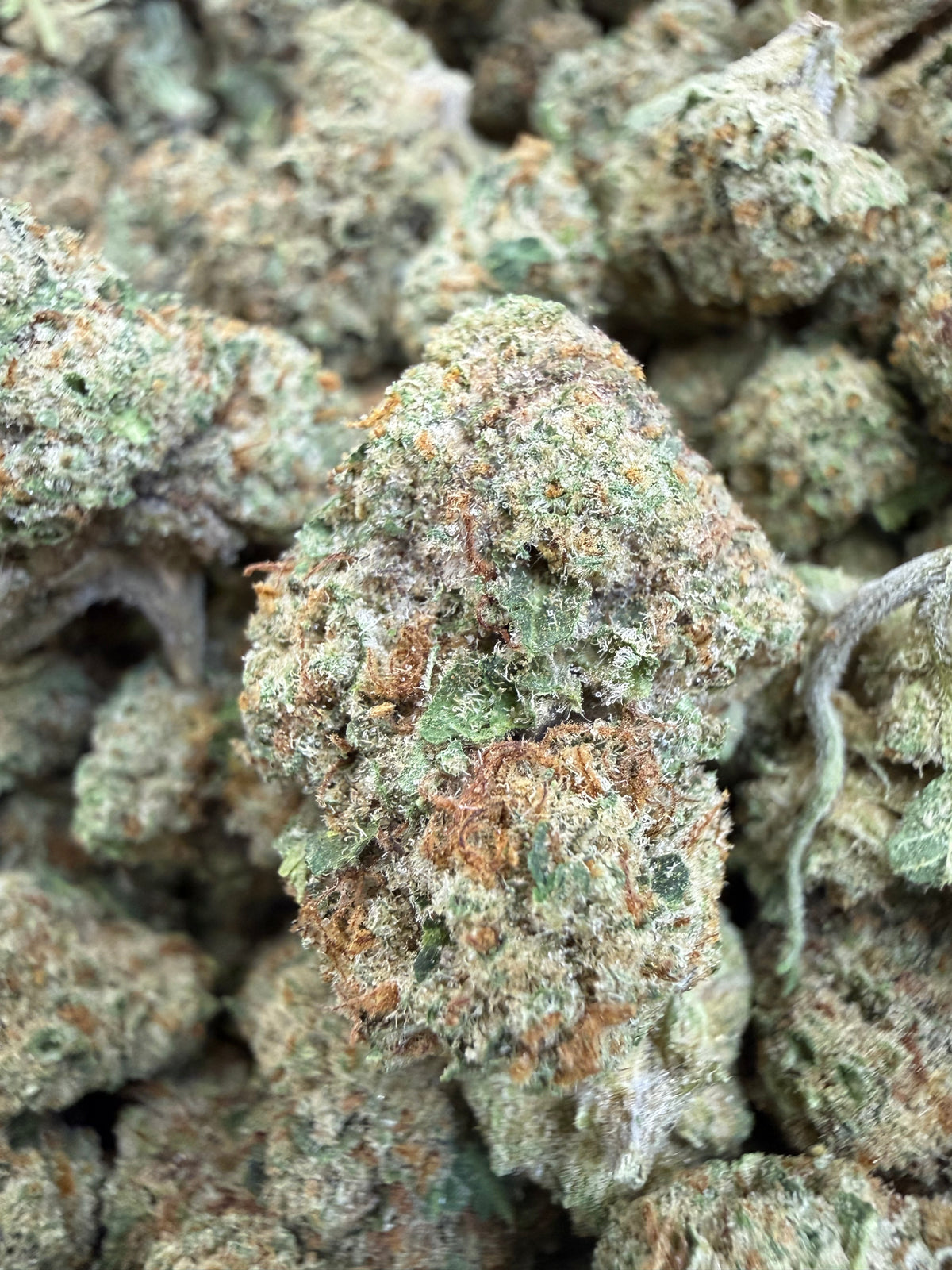 1 Pound - LEMON POPPERZ THCA Flower (SMALL)