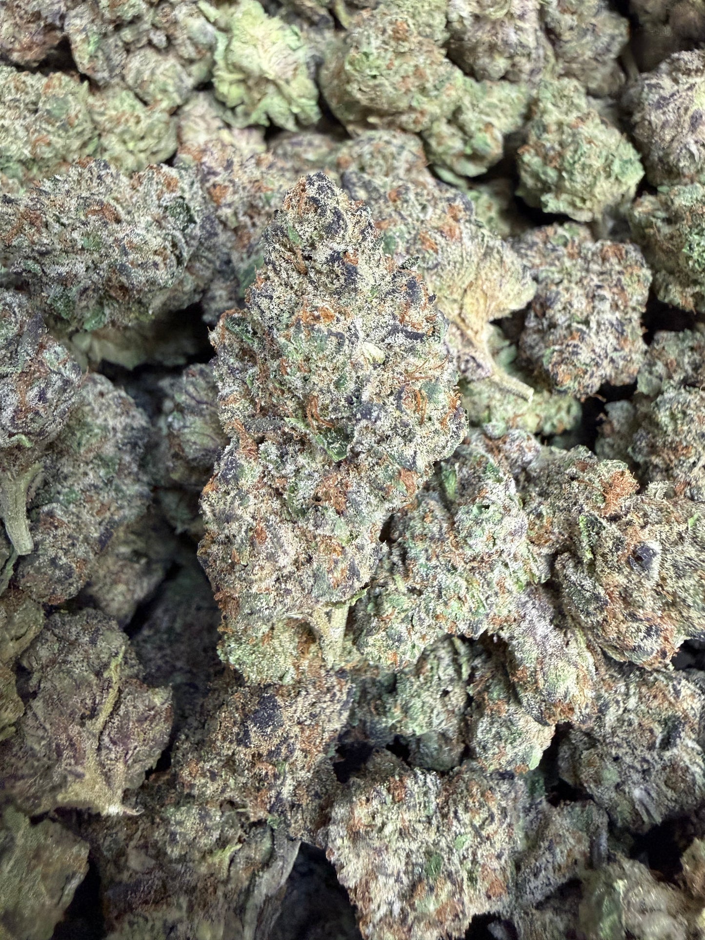 1 Pound - Purple Urkle THCA Flower