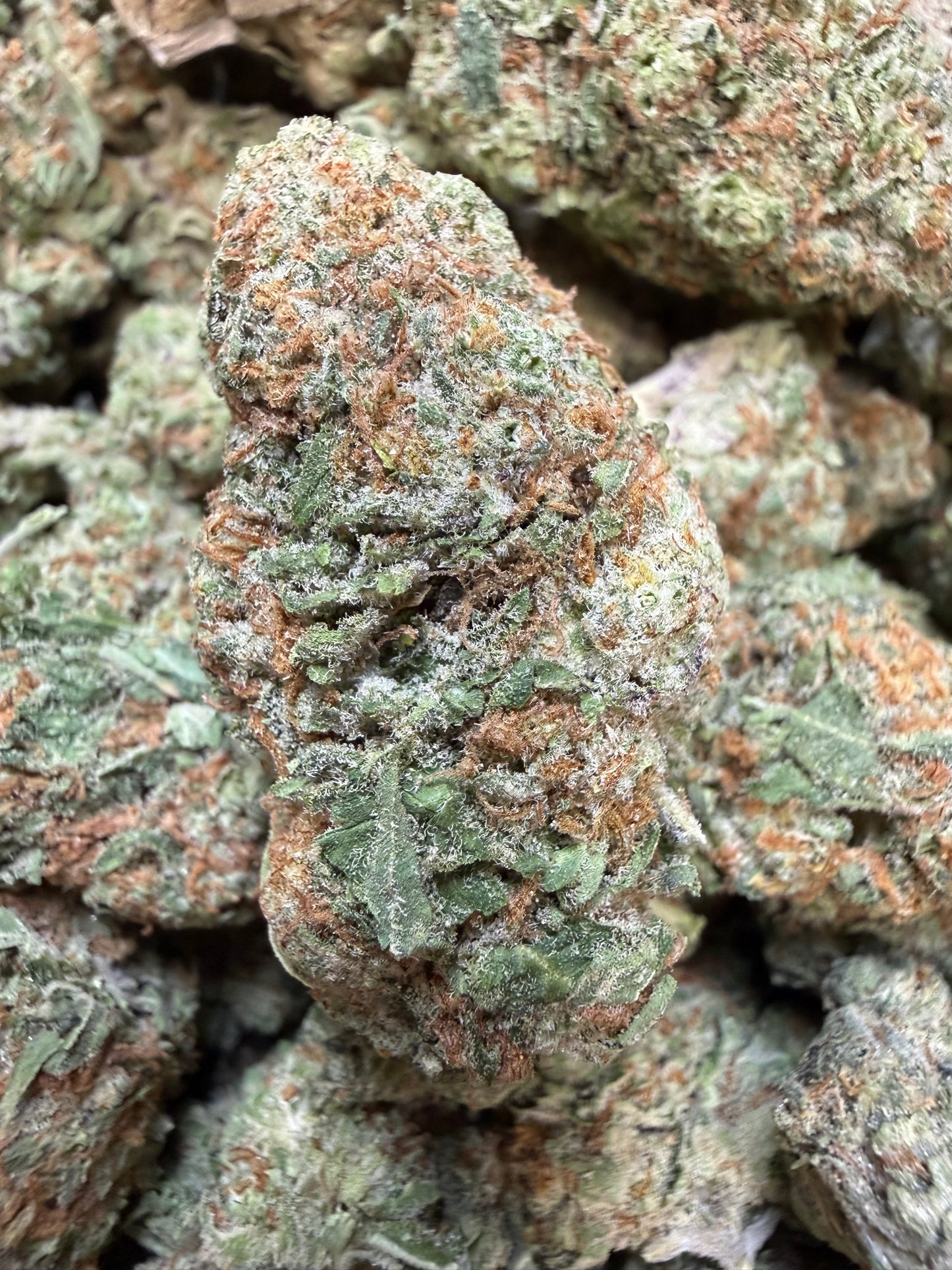 1 Pound - Phat Panda THCA Flower