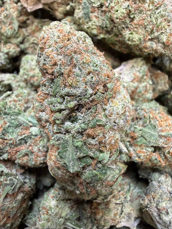 1 Pound - Phat Panda THCA Flower