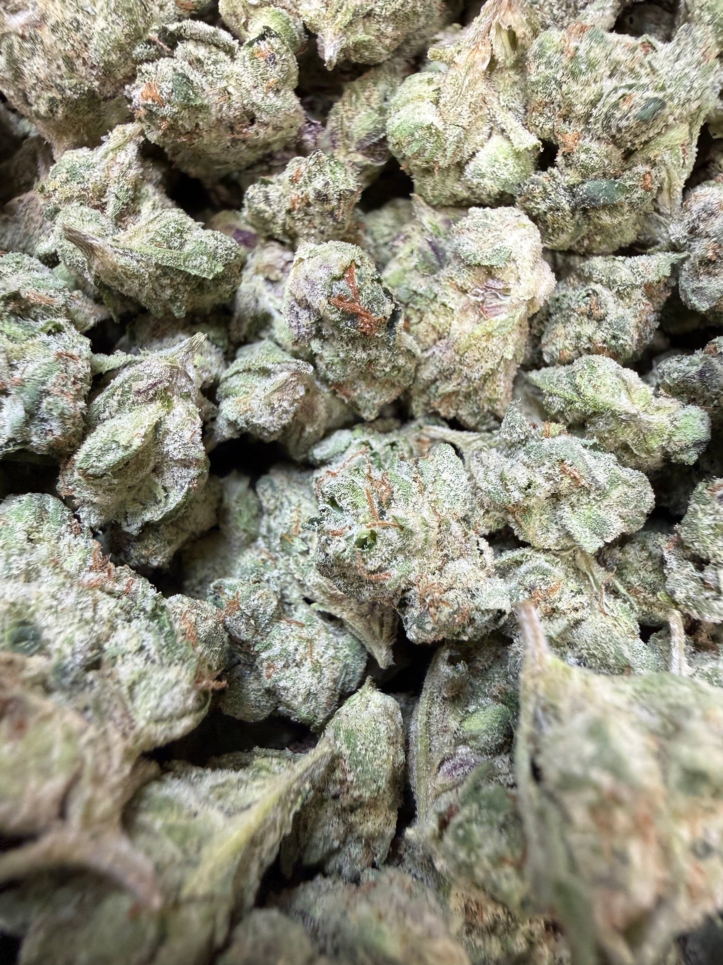1 Pound - Gelato 33 S1 THCA Flower (Smalls)
