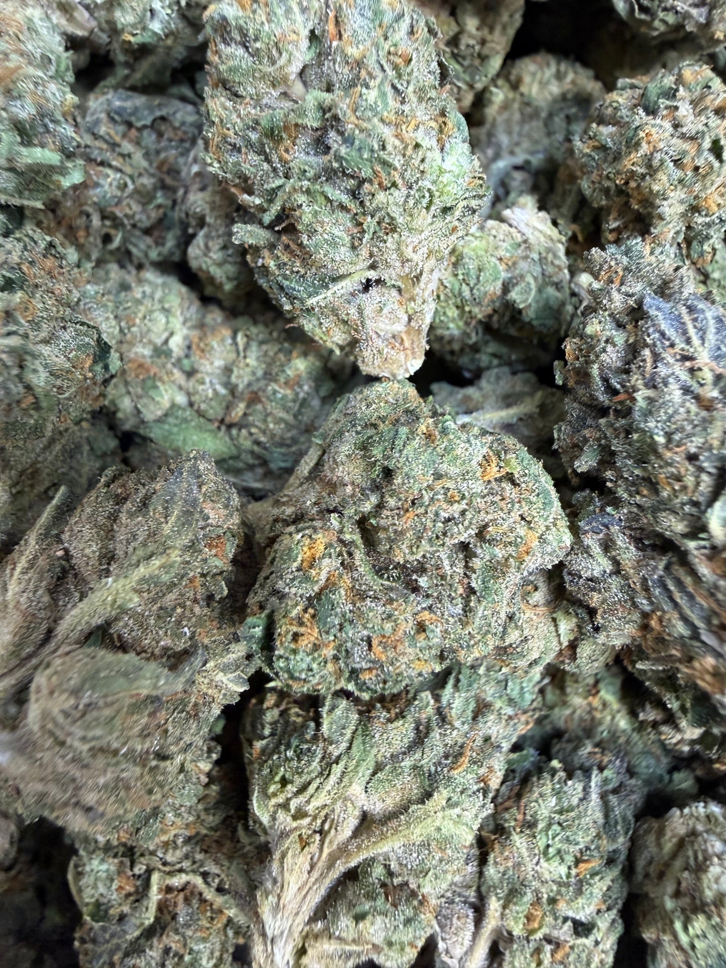 1 Pound - White Runtz THCA Flower
