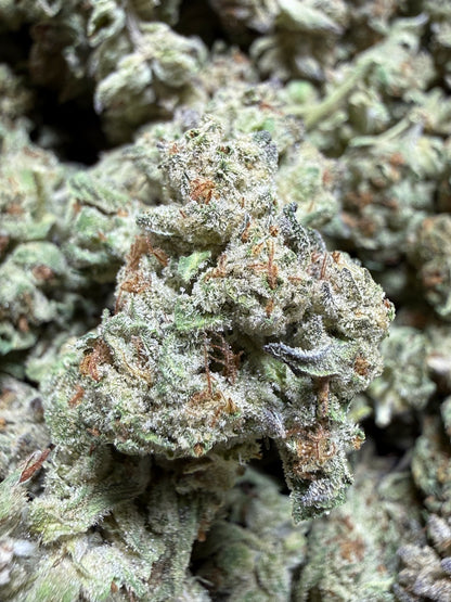 1 Pound - PLATINUM COOKIES AND CREAM THCA Flower (SMALL)