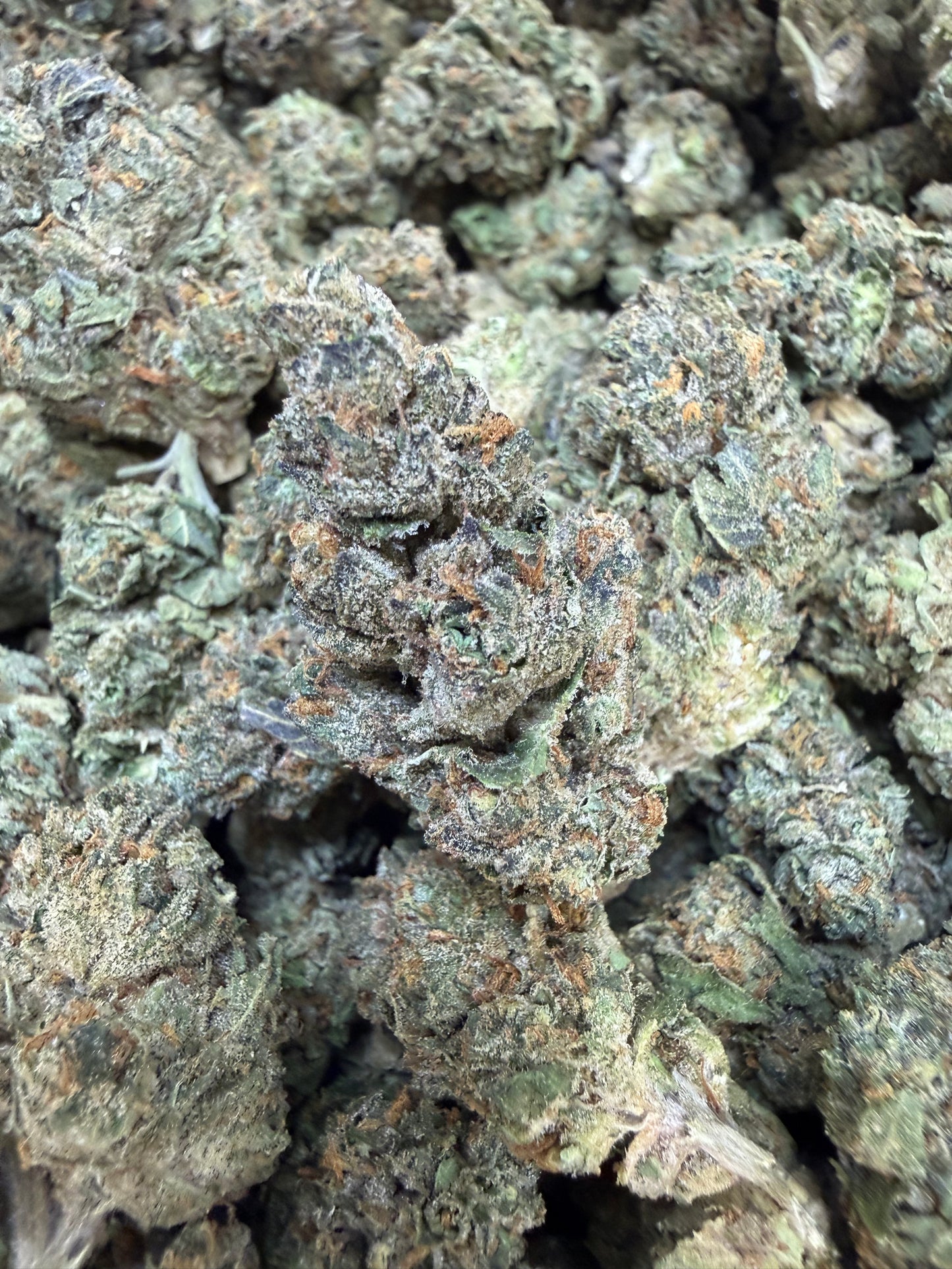 1 Pound - White Runtz THCA Flower