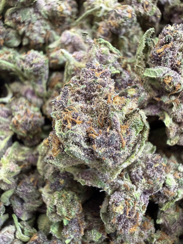 1 Pound - TROP CHERRY THCA Flower (SMALL)