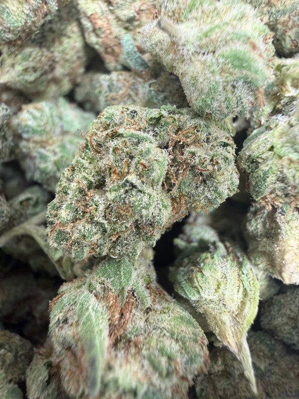 1 Pound - Crunch Berries Flower (Smalls)