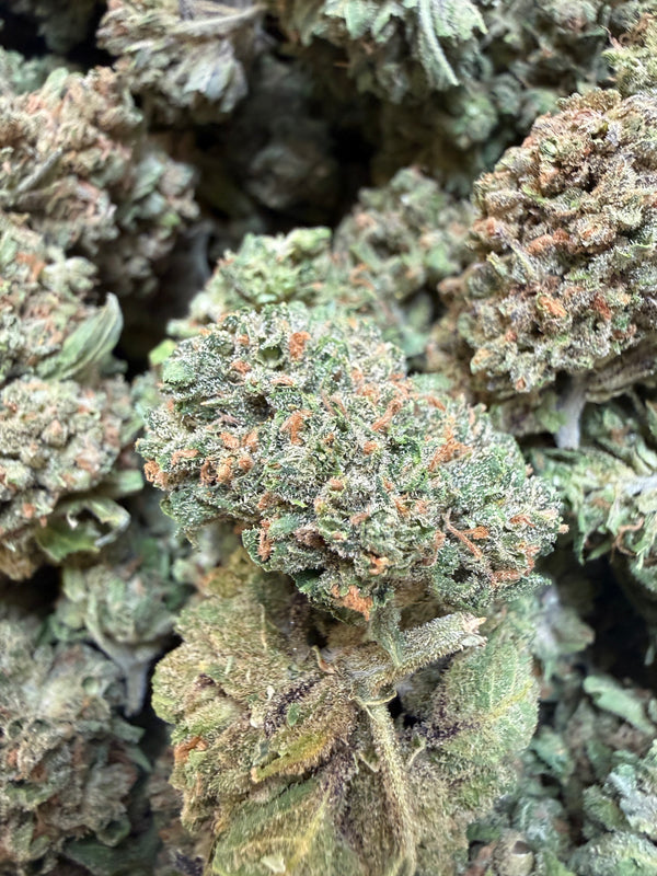 1 Pound - Gas Leak THCA Flower
