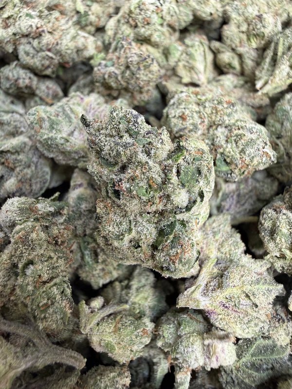 1 Pound - Scotty’s Cheddar THCA Flower