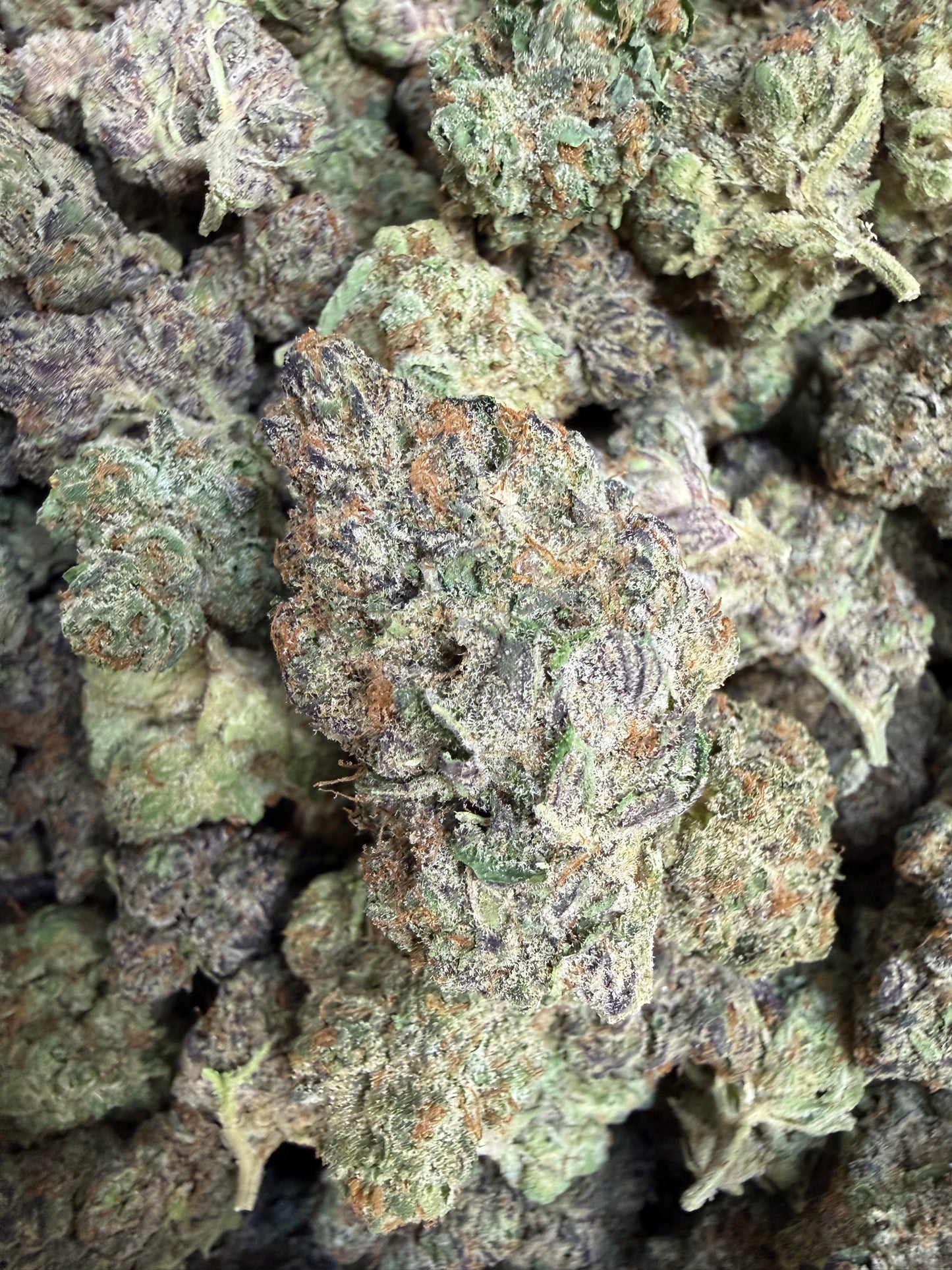 1 Pound - Purple Urkle THCA Flower