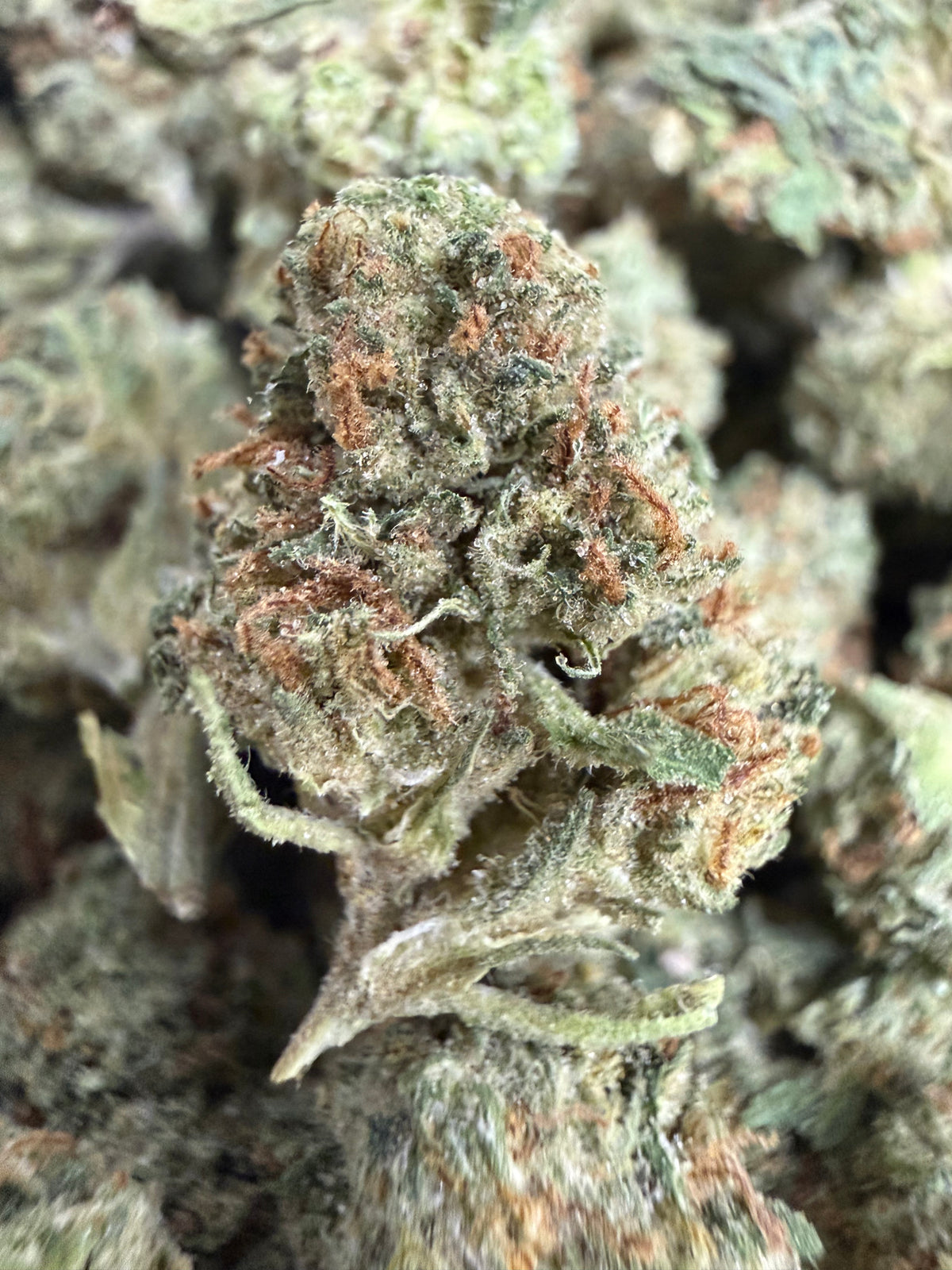 1 Pound - PAPAYA SMOOTHIE THCA Flower (SMALL)