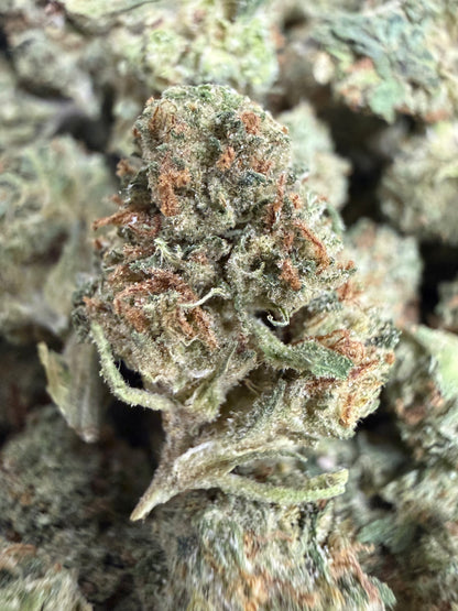 1 Pound - PAPAYA SMOOTHIE THCA Flower (SMALL)