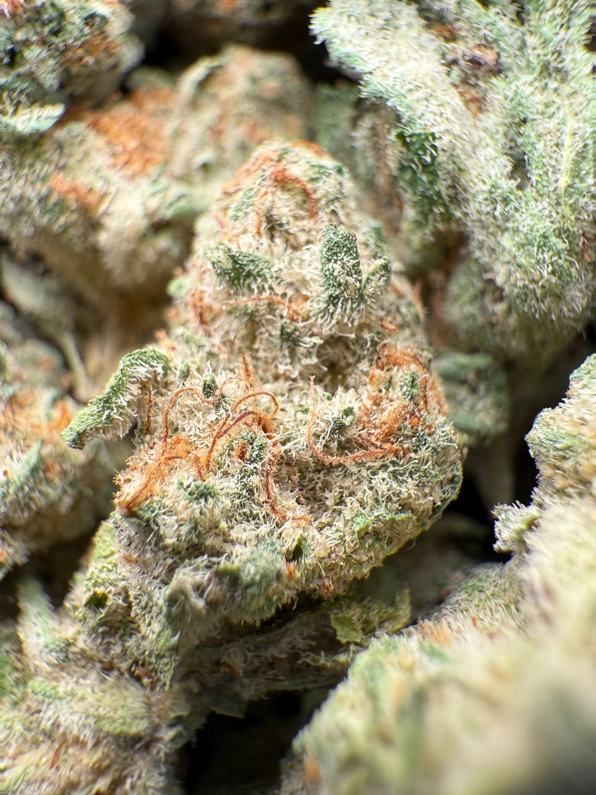 43 Grams - AAA Strawnana THCA Strain (Small) Frisco Labs