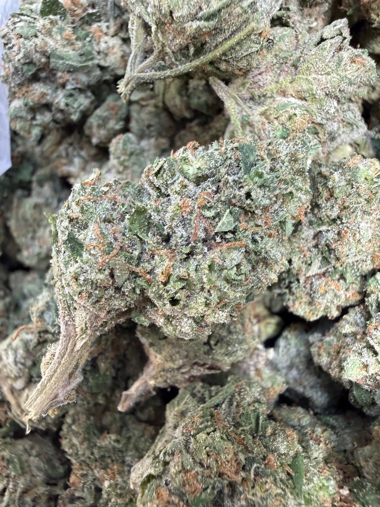 1 Pound - Face Off OG THCA Flower