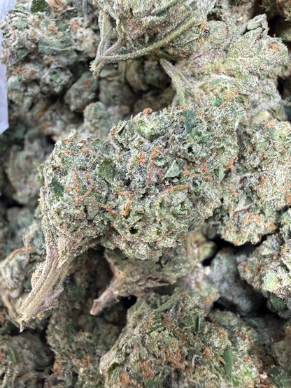 1 Pound - Face Off OG THCA Flower