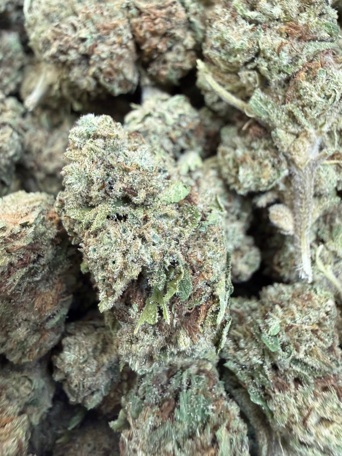 1 Pound - BISCOTTI PANCAKES THCA Flower (BIG)