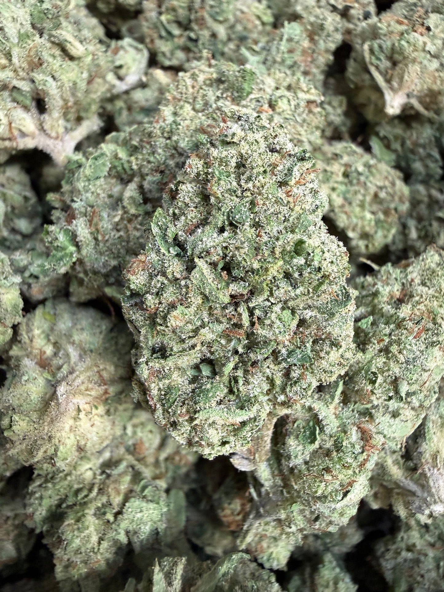 1 Pound - Afghan Lemon OG THCA Flower
