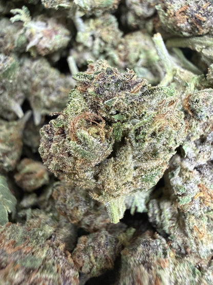 1 Pound - PURPLE SOUR BOMB THCA Flower (SMALL)