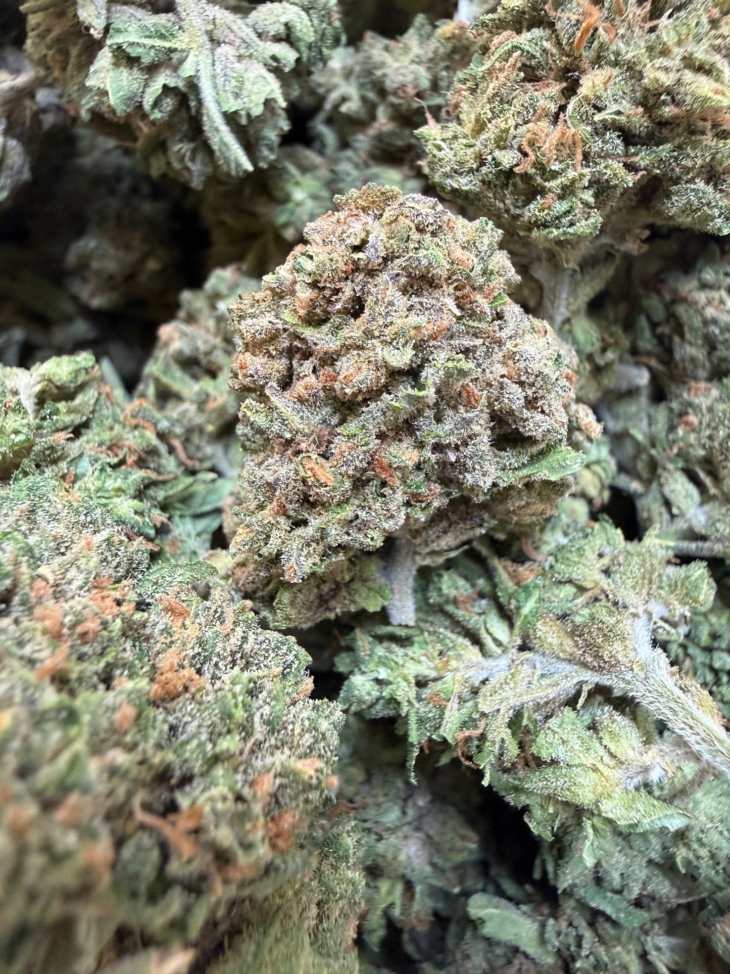 1 Pound - Gas Leak THCA Flower