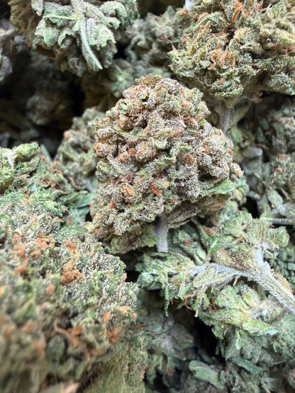 1 Pound - Gas Leak THCA Flower